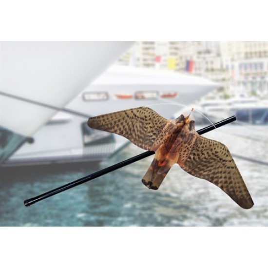 Stop Gull falcon met 5m paal