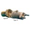 Vetgesm.binnengl.1V40-RG5-Ã¸40-2 -M